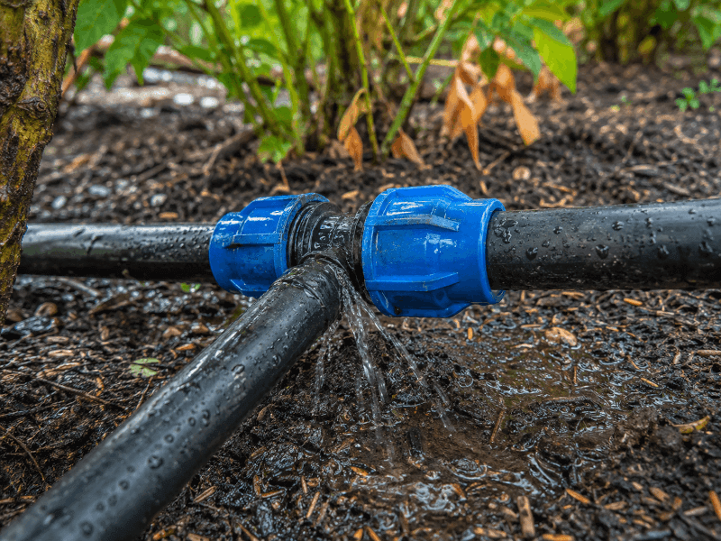 Fuite sur un raccord d’irrigation goutte-à-goutte